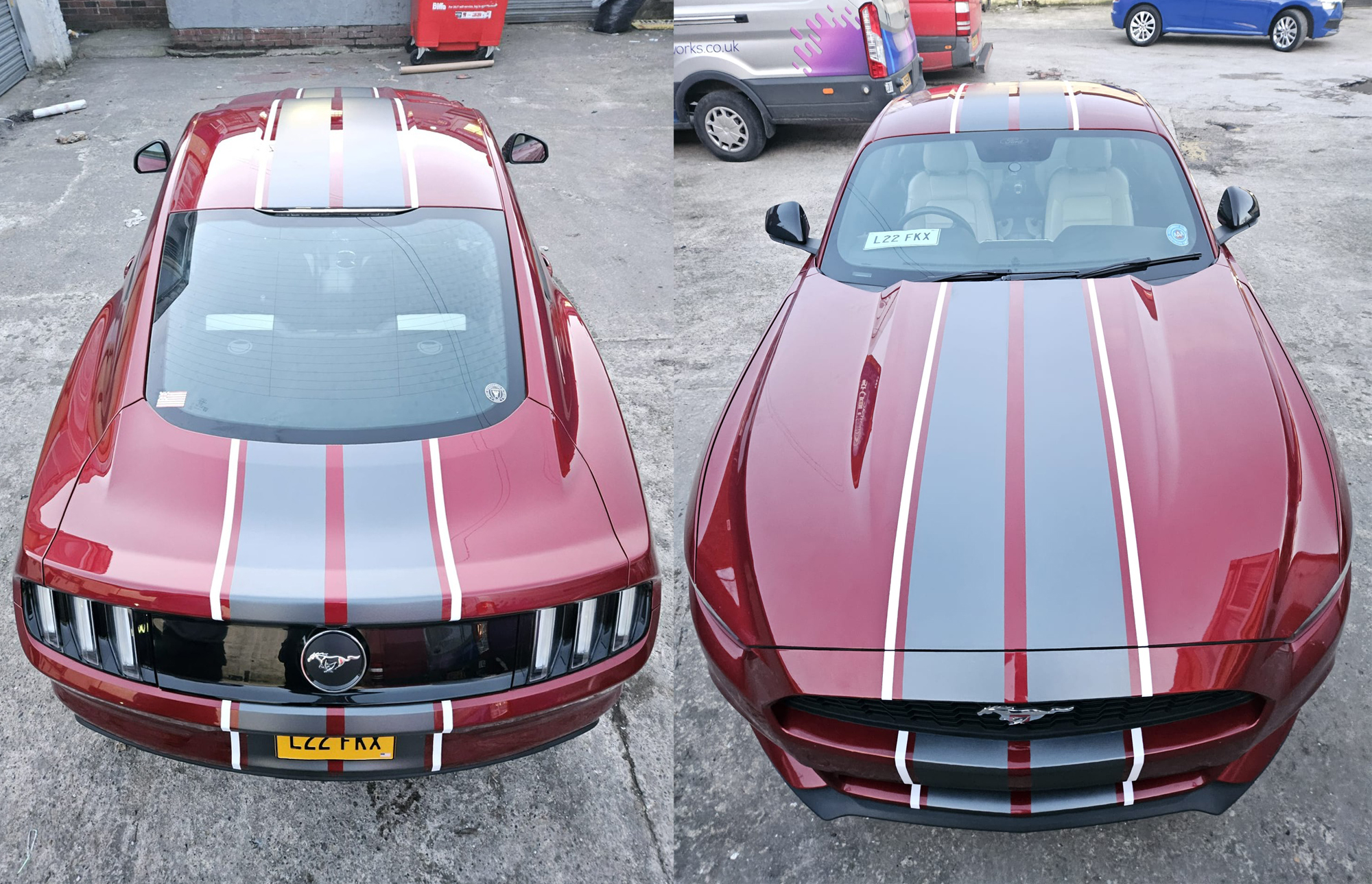 Ford Mustang Custom Racing Stripes